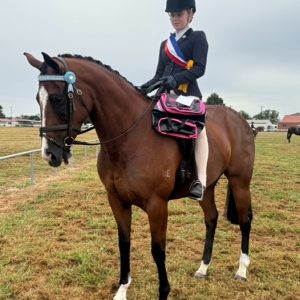 Tior'e - TB Small Hack Mare