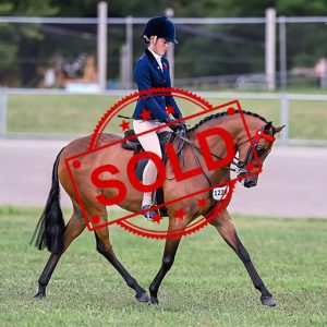 SOLD!! Child’s Open Pony