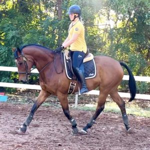 Bless - OTTB Small Hack