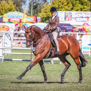 Asman - Large Show Hunter Hack