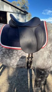 Stunning County Connection saddle