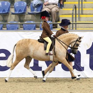 Awrawel Lodge Matilda - Leading Rein Pony