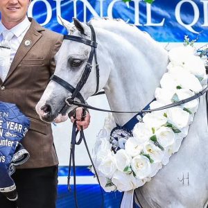 Bamborough Catapulte - Leading Rein Pony