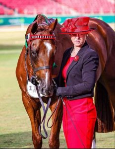 Future Show Hunter - OTT and Dressage Star