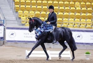 Total Fashionista - Grand National Champion Hack